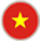 Huy hiệu Việt Nam